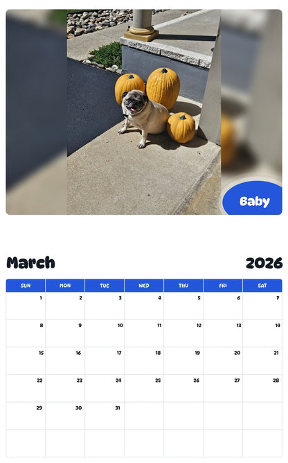 November 2025 - October 2026 Baby - Pawidols Pet Calendar
