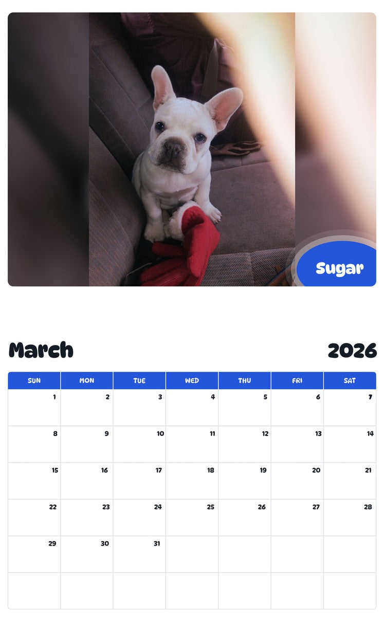 November 2025 - October 2026 Sugar - Pawidols Pet Calendar