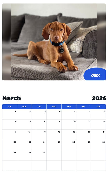 November 2025 - October 2026 Jax - Pawidols Pet Calendar
