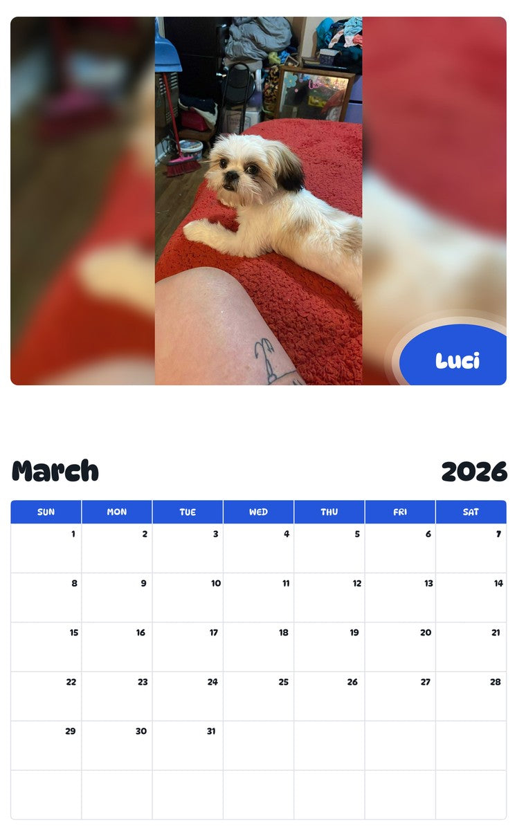 November 2025 - October 2026 Luci - Pawidols Pet Calendar