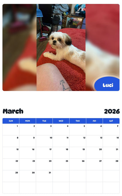 November 2025 - October 2026 Luci - Pawidols Pet Calendar