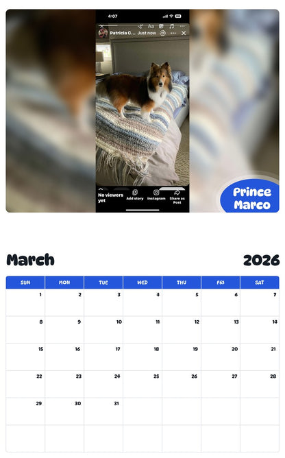 November 2025 - October 2026 Prince Marco - Pawidols Pet Calendar