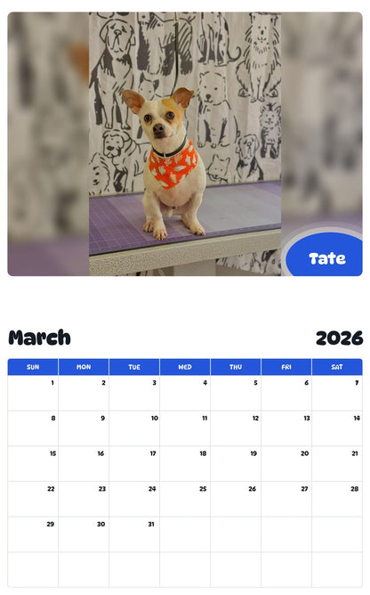 November 2025 - October 2026 Tate - Pawidols Pet Calendar