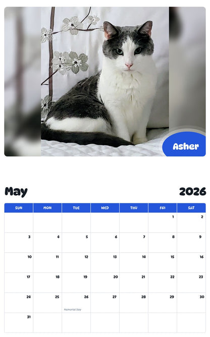 2026 - 2027 Asher - Pawidols Pet Calendar