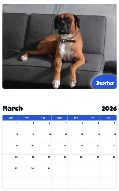 November 2025 - October 2026 Dexter - Pawidols Pet Calendar