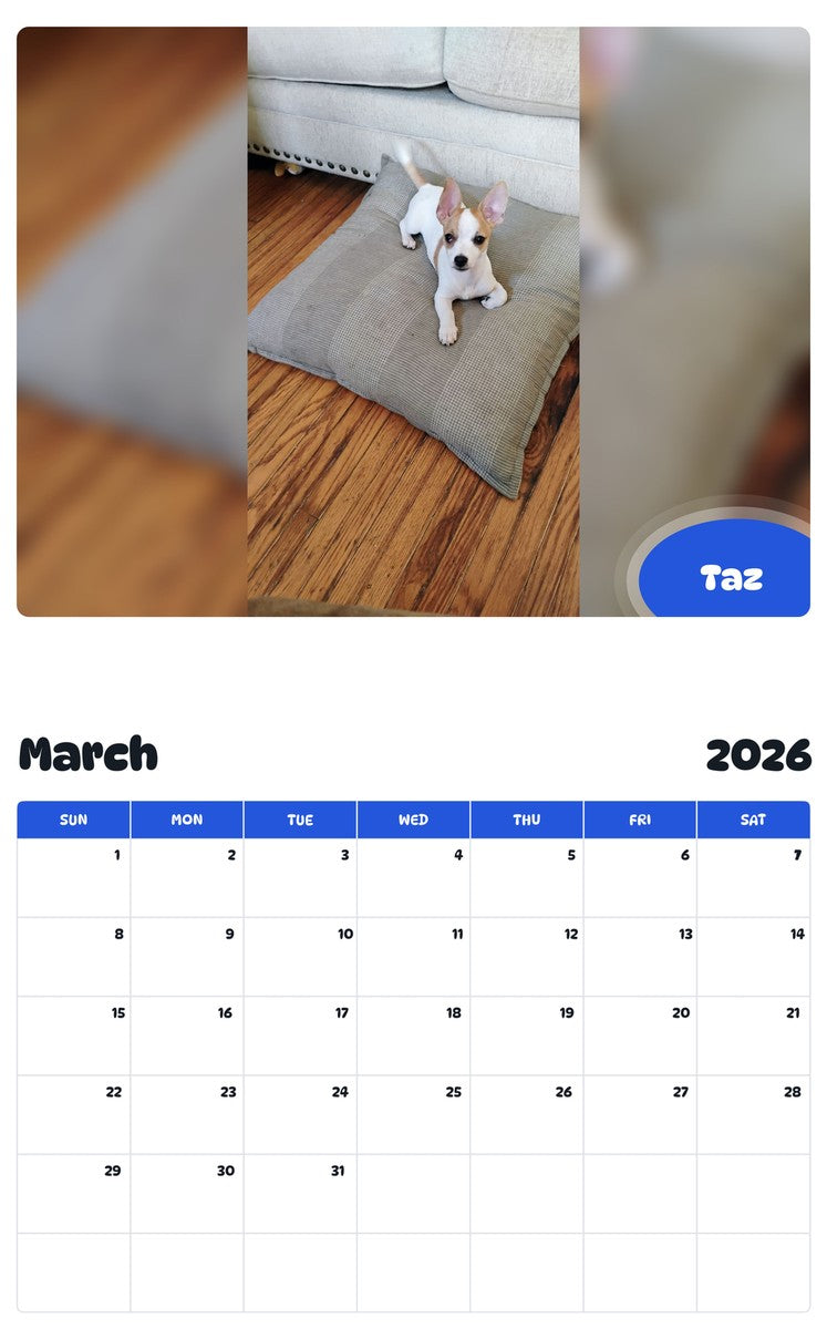 November 2025 - October 2026 Taz - Pawidols Pet Calendar