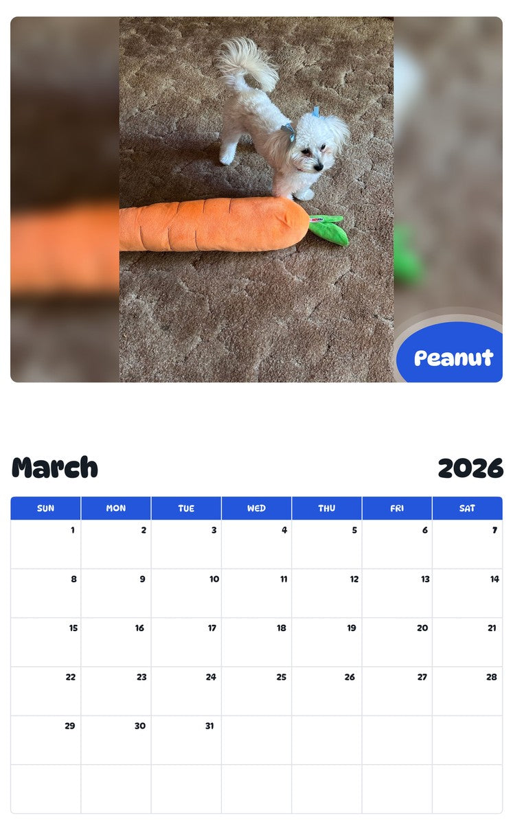 November 2025 - October 2026 Peanut - Pawidols Pet Calendar