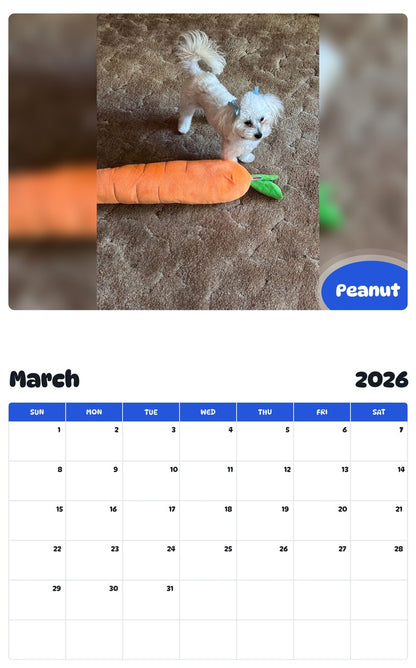 November 2025 - October 2026 Peanut - Pawidols Pet Calendar