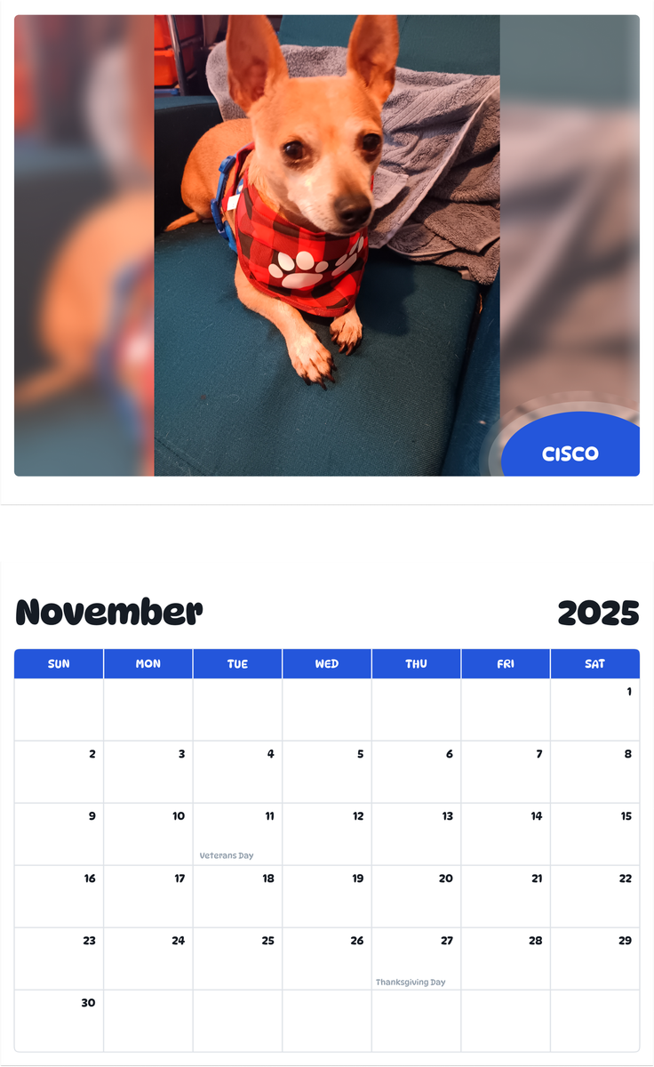 July 2025 - June 2026 CISCO - Pawidols Pet Calendar