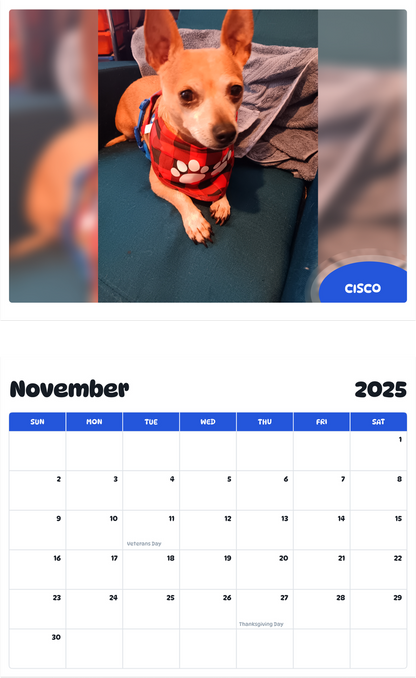 July 2025 - June 2026 CISCO - Pawidols Pet Calendar