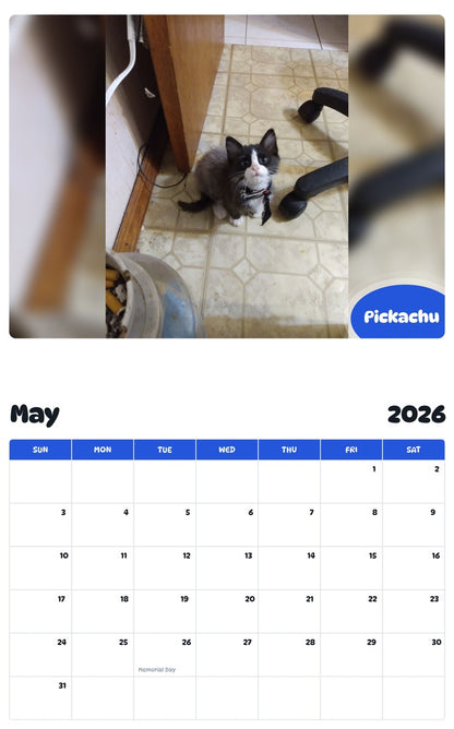 2026 - 2027 Pickachu - Pawidols Pet Calendar