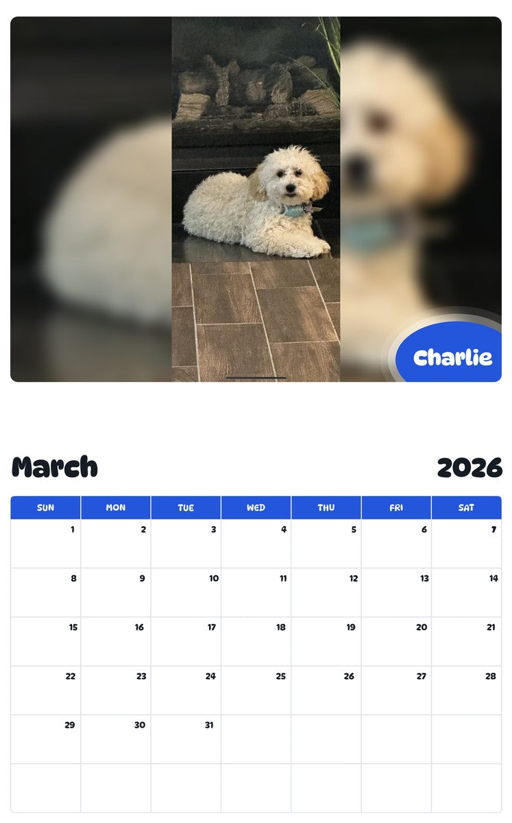 November 2025 - October 2026 Charlie - Pawidols Pet Calendar