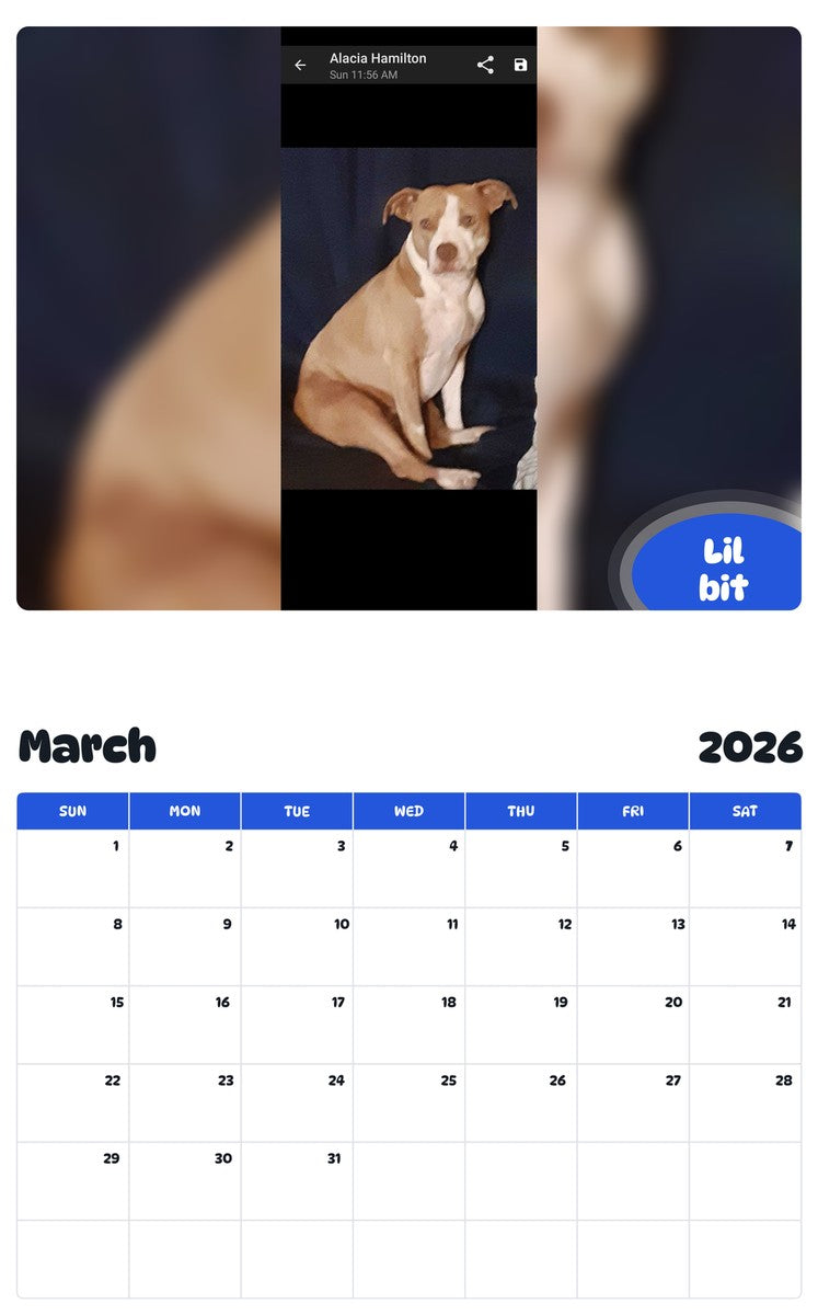 November 2025 - October 2026 Lil bit - Pawidols Pet Calendar