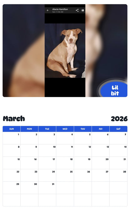 November 2025 - October 2026 Lil bit - Pawidols Pet Calendar