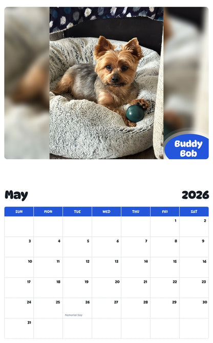 2026 - 2027 Buddy Bob - Pawidols Pet Calendar