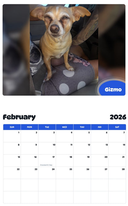October 2025 - September 2026 Gizmo - Pawidols Pet Calendar