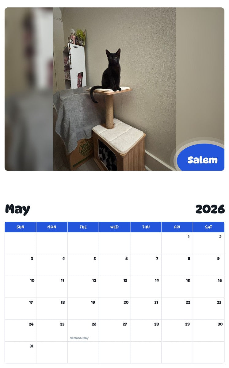 2026 - 2027 Salem - Pawidols Pet Calendar