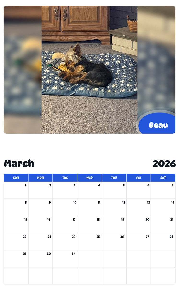 November 2025 - October 2026 Beau - Pawidols Pet Calendar