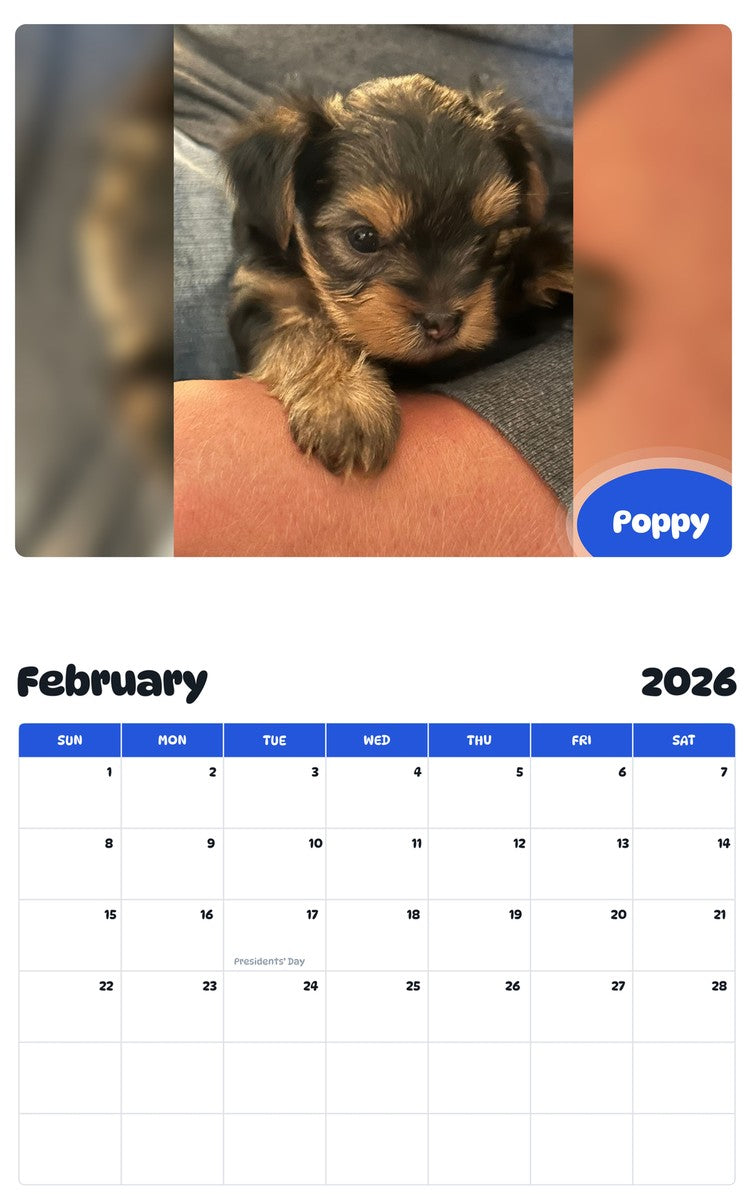 October 2025 - September 2026 Poppy - Pawidols Pet Calendar
