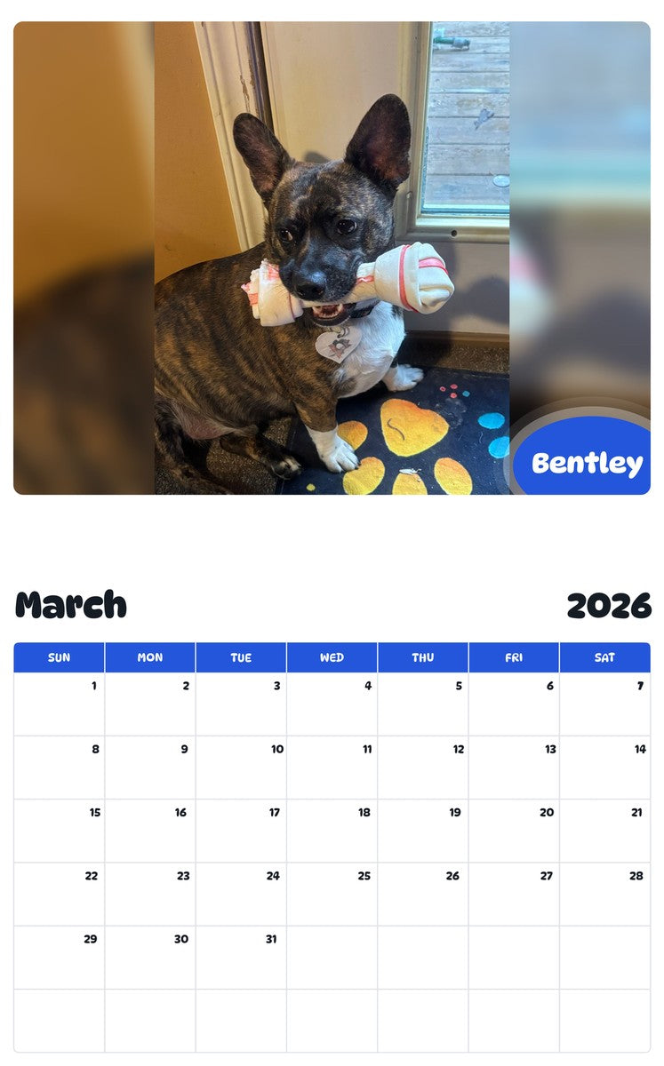 November 2025 - October 2026 Bentley - Pawidols Pet Calendar