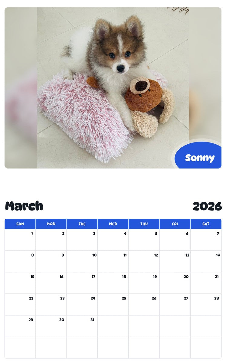 November 2025 - October 2026 Sonny - Pawidols Pet Calendar