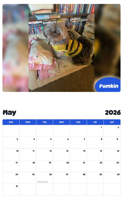 2026 - 2027 Pumkin - Pawidols Pet Calendar