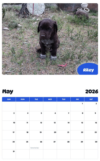 2026 - 2027 Riley - Pawidols Pet Calendar