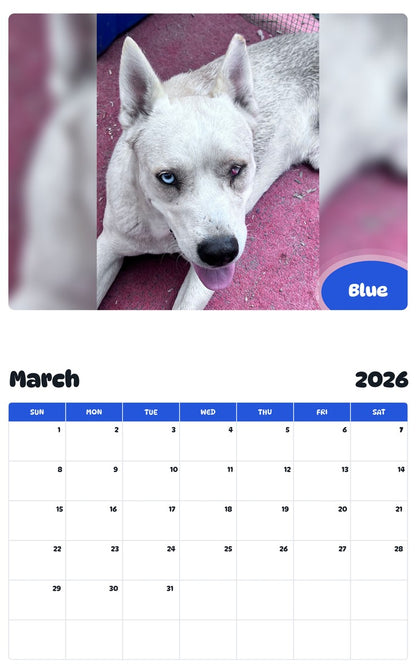 November 2025 - October 2026 Blue - Pawidols Pet Calendar
