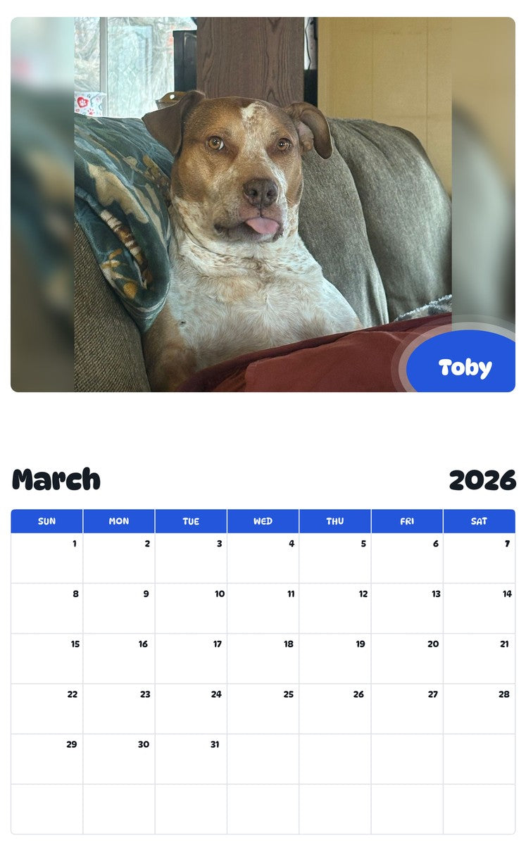 November 2025 - October 2026 Toby - Pawidols Pet Calendar