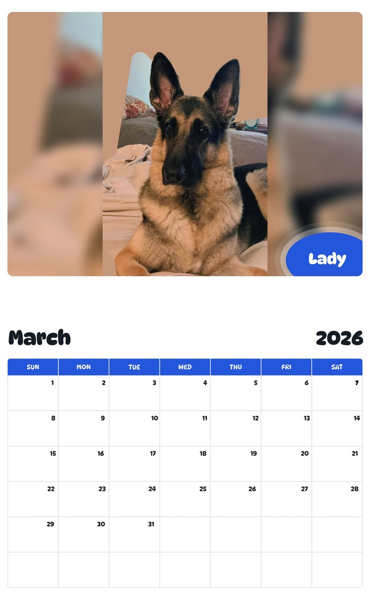 November 2025 - October 2026 Lady - Pawidols Pet Calendar