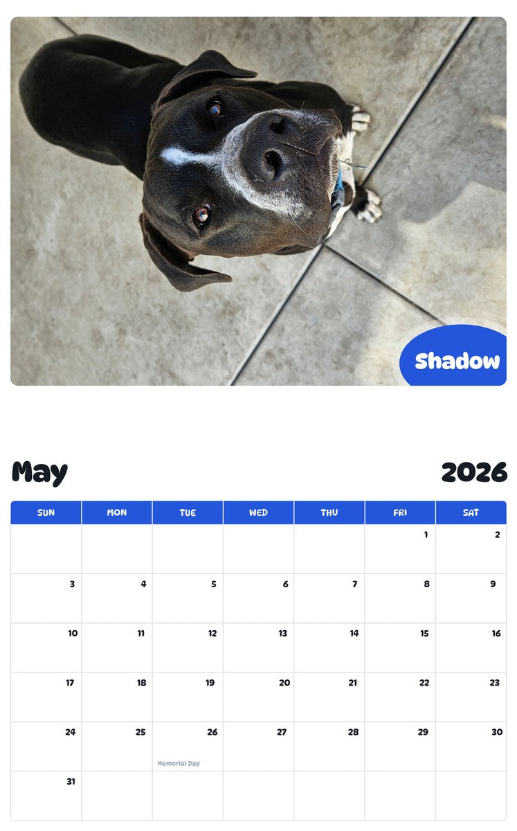 2026 - 2027 Shadow - Pawidols Pet Calendar