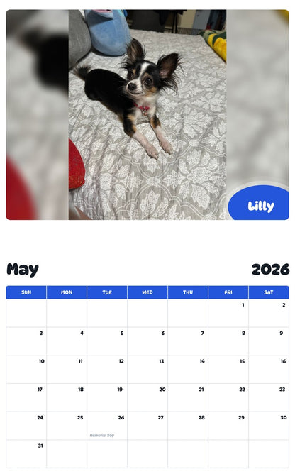 2026 - 2027 Lilly - Pawidols Pet Calendar