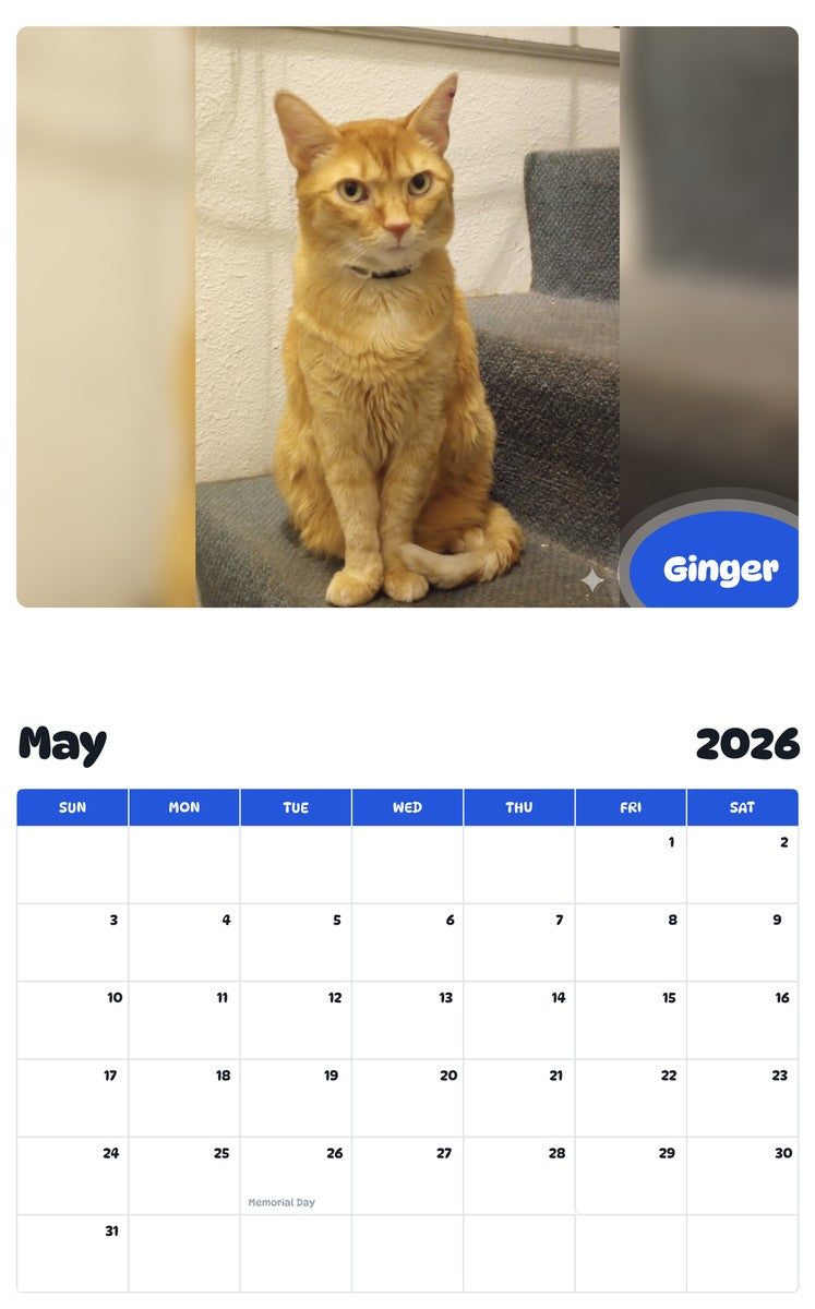 2026 - 2027 Ginger - Pawidols Pet Calendar