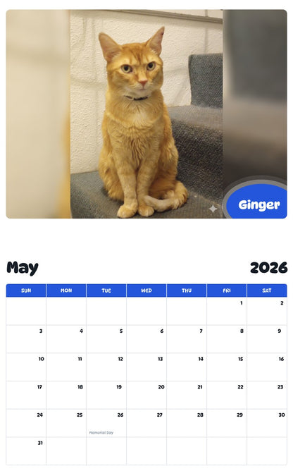 2026 - 2027 Ginger - Pawidols Pet Calendar