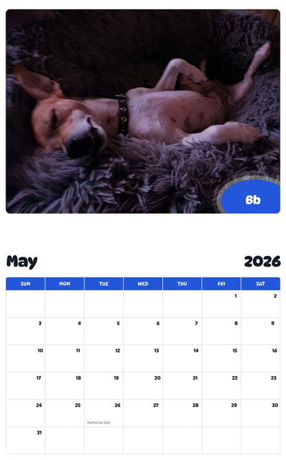 2026 - 2027 Bb - Pawidols Pet Calendar