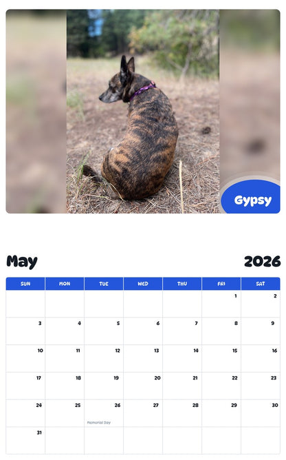 2026 - 2027 Gypsy - Pawidols Pet Calendar