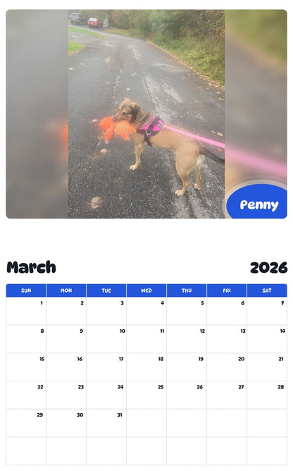 November 2025 - October 2026 Penny - Pawidols Pet Calendar