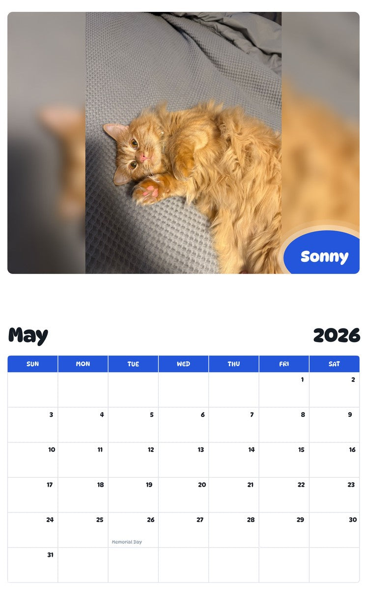 2026 - 2027 Sonny - Pawidols Pet Calendar