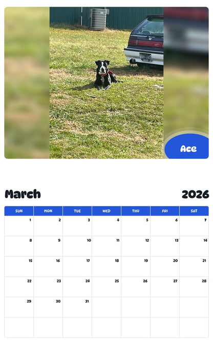 November 2025 - October 2026 Ace - Pawidols Pet Calendar