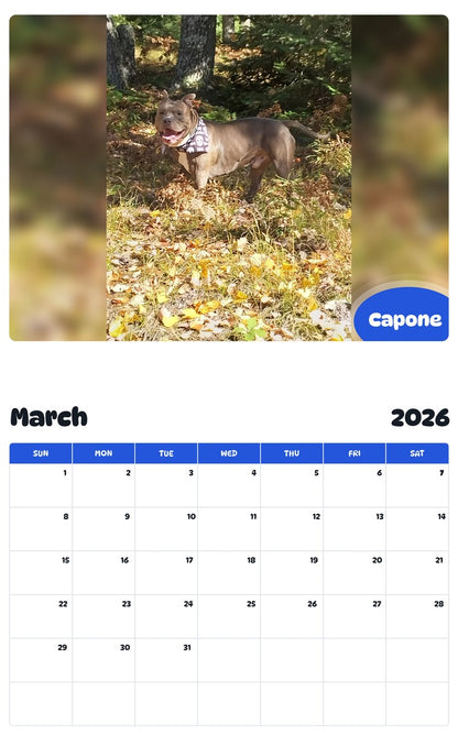 November 2025 - October 2026 Capone - Pawidols Pet Calendar
