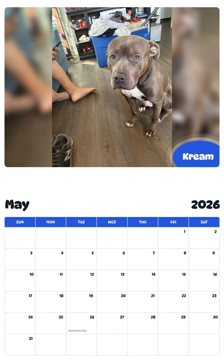 2026 - 2027 Kream - Pawidols Pet Calendar
