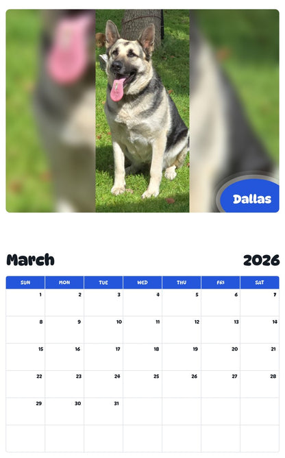 November 2025 - October 2026 Dallas - Pawidols Pet Calendar