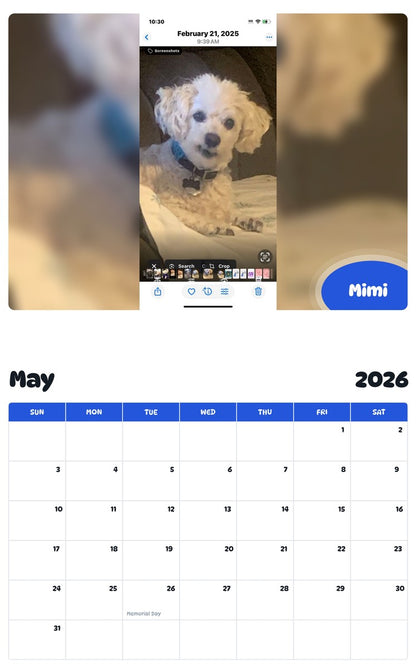 2026 - 2027 Mimi - Pawidols Pet Calendar