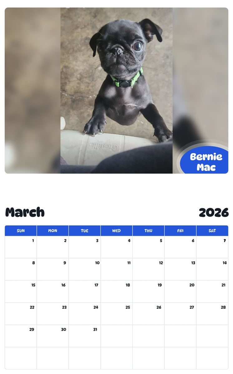 November 2025 - October 2026 Bernie Mac - Pawidols Pet Calendar