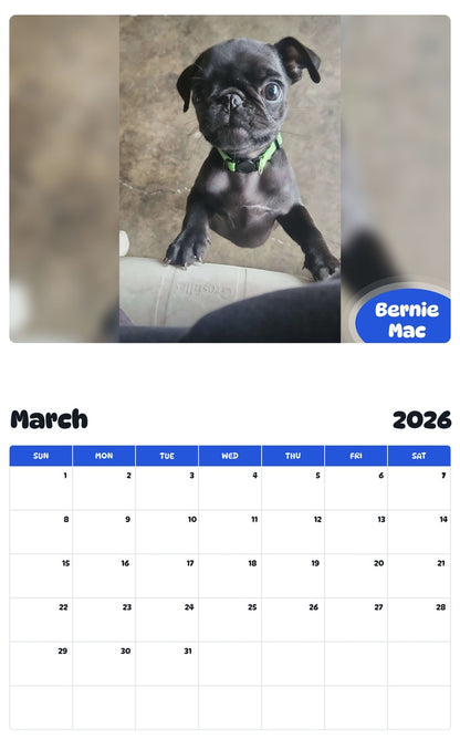 November 2025 - October 2026 Bernie Mac - Pawidols Pet Calendar