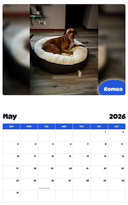 2026 - 2027 Romeo - Pawidols Pet Calendar
