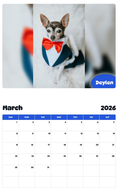 November 2025 - October 2026 Deylen - Pawidols Pet Calendar