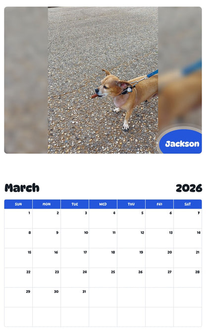 November 2025 - October 2026 Jackson - Pawidols Pet Calendar