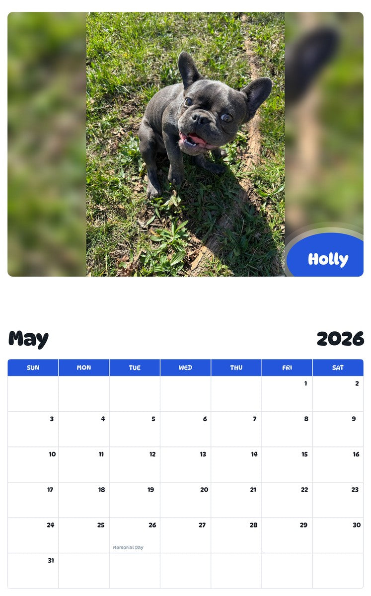 2026 - 2027 Holly - Pawidols Pet Calendar