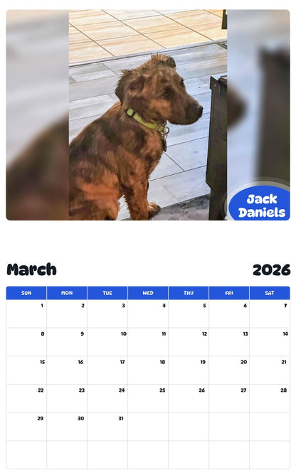 November 2025 - October 2026 Jack Daniels - Pawidols Pet Calendar